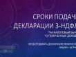 Какие сроки и условия подачи декларации нужно знать