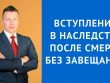 Процесс вступления в наследство после смерти - что нужно знать