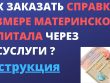 Узнайте остаток материнского капитала на портале Госуслуг